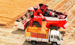 属国资国企发布中国首个聪慧农业AI大模子