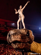 蔡依林演唱会风浪升级!几百封举报信送至文旅局